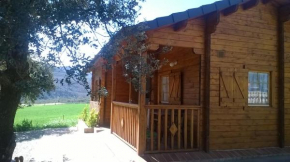 La casa del estanque
